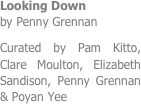 Looking Down
by Penny Grennan
Curated by Pam Kitto, Clare Moulton, Elizabeth Sandison, Penny Grennan & Poyan Yee
